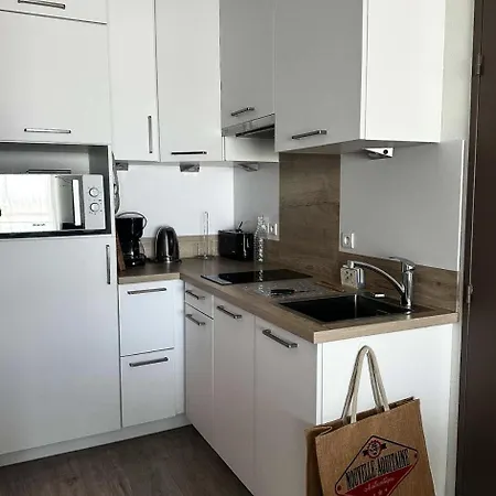 Pieds Dans L Eau - T2 Moderne Avec Vue Bassin - 4 Personnes Mae-0204 Lejlighed *